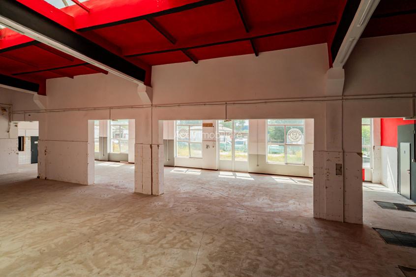 Hala industriala 297 mp, 15 parcari, acces TIR – Constanta - 15