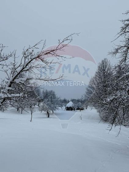 Teren în cea mai turistica localitate din Romania - Breb / Maramureș - 8