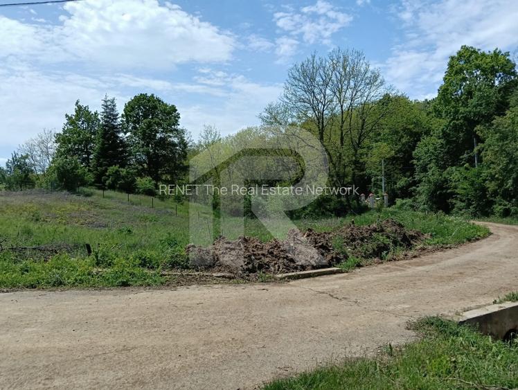 intravilan Tiparesti, relaxare aproape de padure - 5