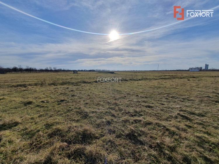 COMISION 0% Teren intravilan 6400 mp la drum asfaltat - Padureni - 12