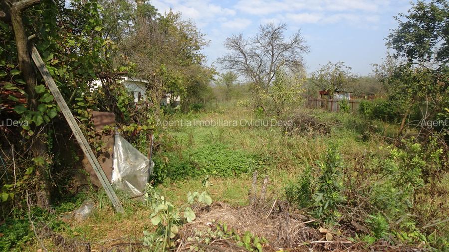 Vand casa solida in Deva, zona Horea, suprafata totala de teren 3450 mp, - 5