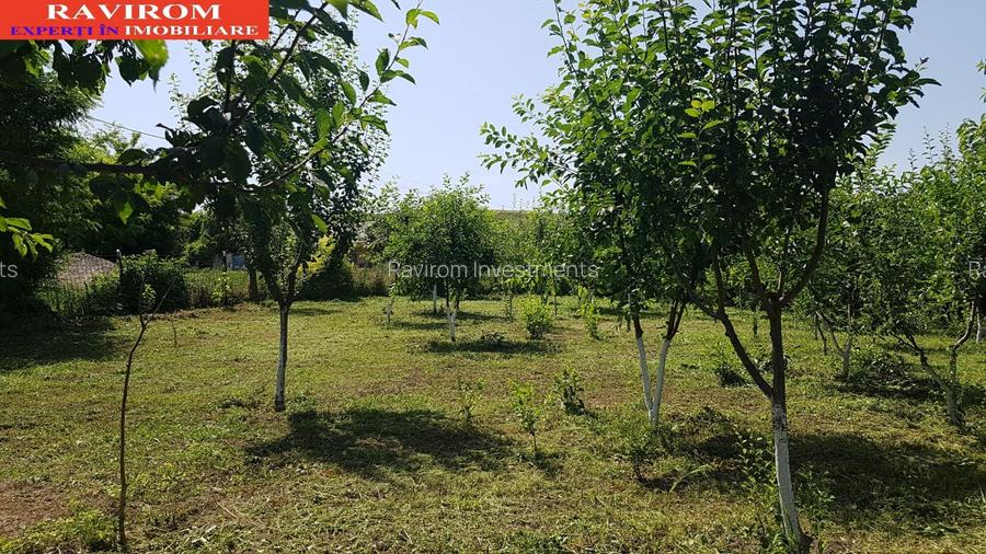 Sarata, Dealu Nou, teren 2800mp - 2