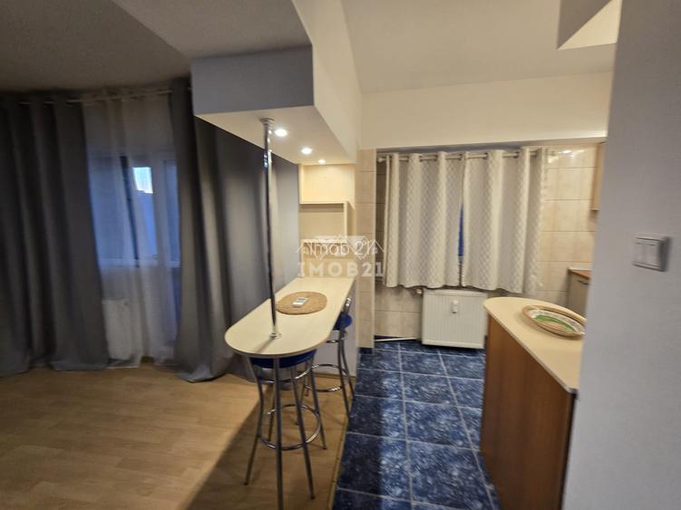 Inchiriere garsoniera spatioasa zona republicii Catedrala - 19