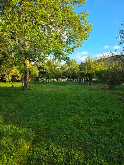 Teren 2500 mp – POTENȚIAL BUSINESS / DEZVOLTARE – Breaza - 6