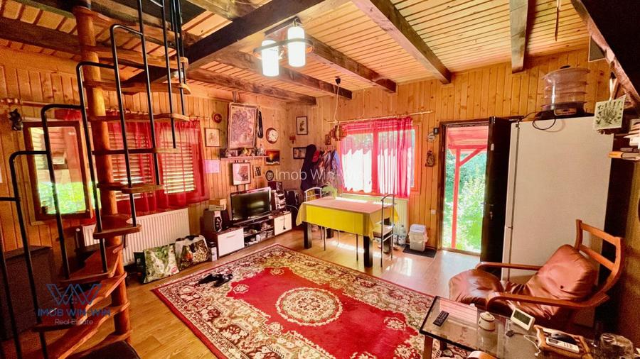 Casa Vacanta Babana! - 9