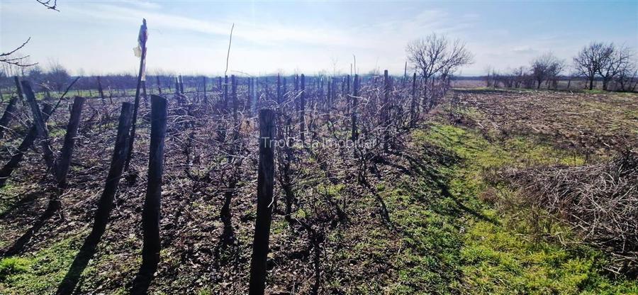 Casa Bradesti , teren  intravilan 7952 mp , deschidere 33 m la DE 70 - 15