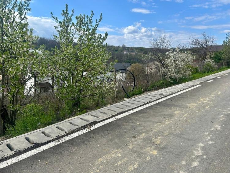 Teren intravilan 1000mp Valea Lupului la 1,5km de E85 apa canalizare PE TEREN! - 5