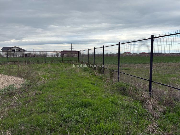 Teren de vânzare în Golești – 3 loturi a câte 530 mp - 4