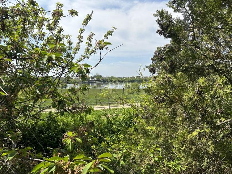 Casa-langa studiourile Buftea, 2 constructii, curte cu pomi, 2300mp, langa lac - 50