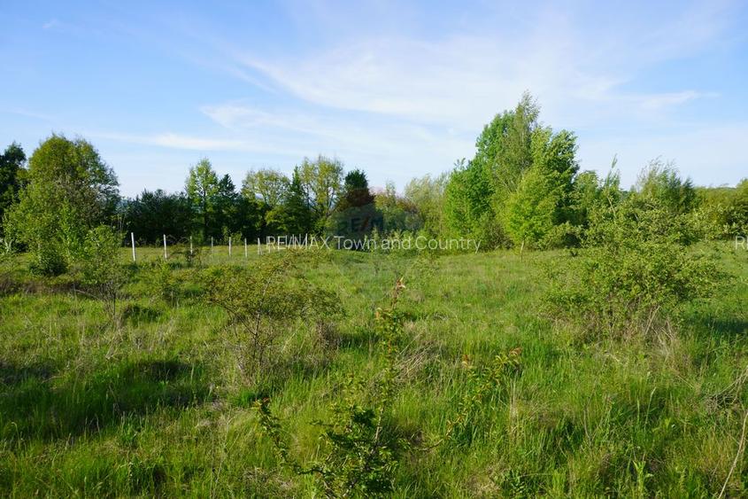 Teren 38,592mp Sighetu Marmatiei / Strada Mocăniței - 23