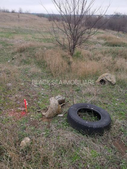 TEREN INTRAVILAN 306 mp – Palazu Mare, Constanta - Ocazie Unica - 6