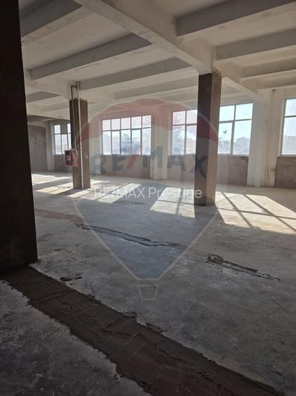 Spații 100/ 200/450 mp lift marfa Baicului platforma industrial - 3