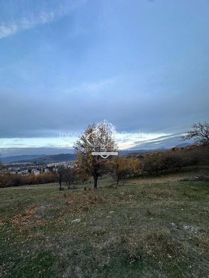 Teren 7199mp Intravilan cu Vedere Panoramica Superbă, Ideal Investitie - 14