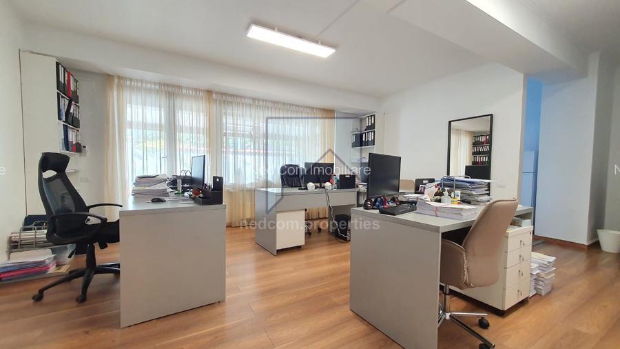 Vanzare Vila de exceptie - Domenii - 8