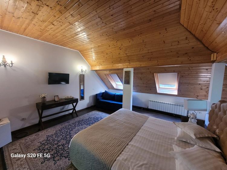 VILA D+P+E+M DE VANZARE IN SINAIA