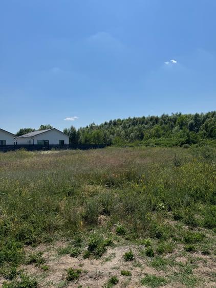 Teren intravilan 500 mp, Domnesti, str. Salciei