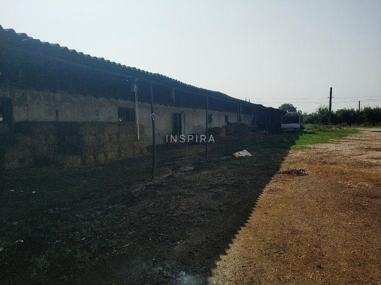 Ferma cu hale 3000 mp si teren 12000 mp, 30 km de Constanta - 7