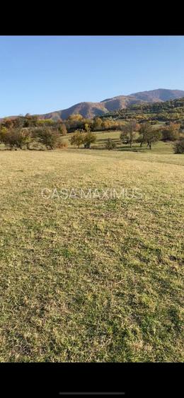 O oportunitate care îți atinge sufletul: Teren de vis la ieșirea din Rășinari - 7