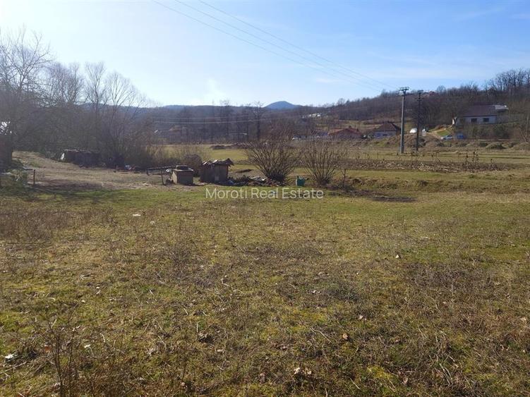 Teren intravilan la liziera padurii - 5