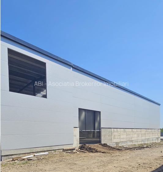 De vanzare | 6 hale x 600 mp | Afumati - 2
