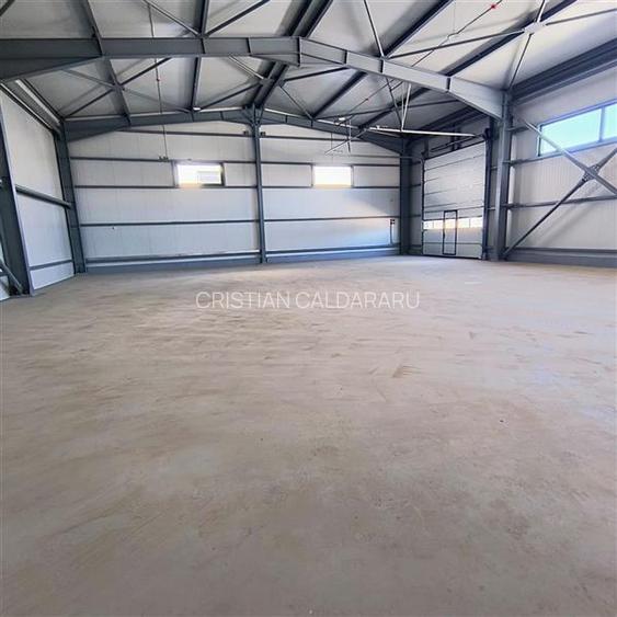 Inchiriere depozit/hala/spatiu industrial Domnesti - Centura - 5