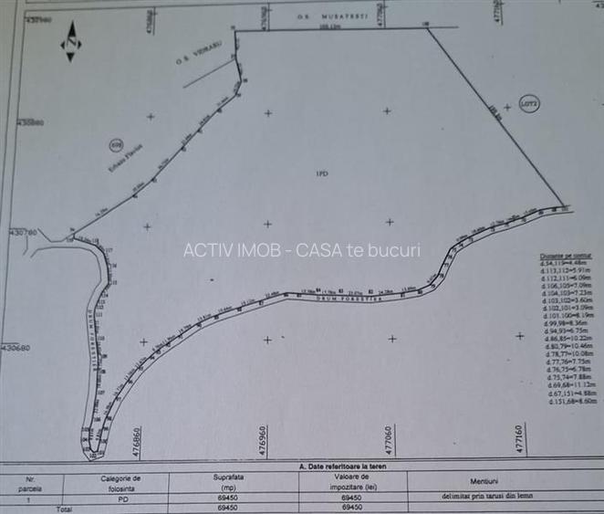 Teren 7 ha, Lac Vidraru, Podis Molivis - 8