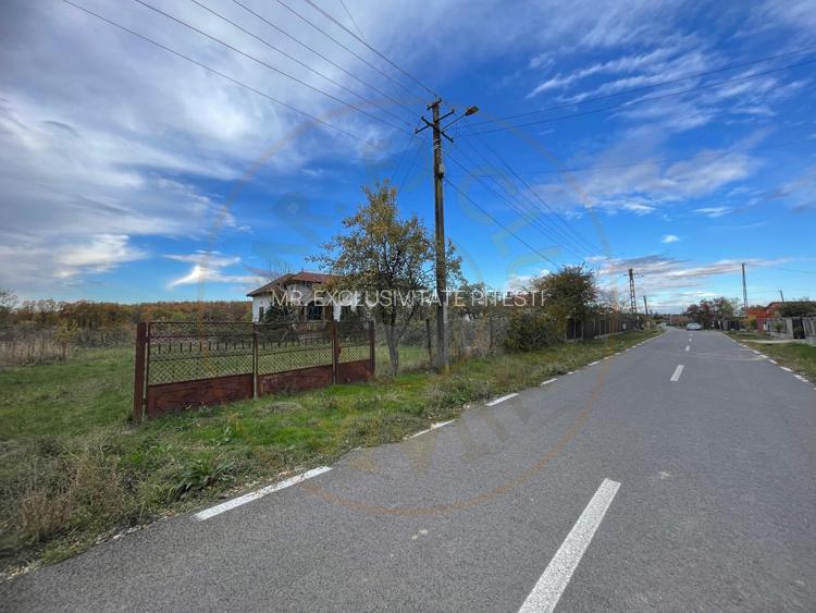 Teren intravilan 6975 mp front stradal 47.70 m in Mosoaia Arges si padure bonus - 2