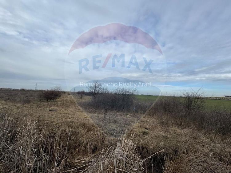 Teren intravilan 13800 mp - Centura de Nord Arad - 2