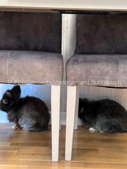 Luxuria Residence | Code MY032-02  |  620EUR+TVA - 30