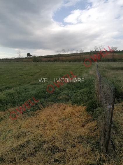 Teren intravilan de vânzare în Moacșa (Eresteghin)! - 7