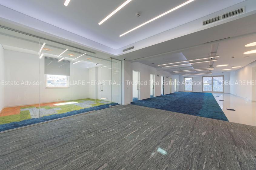 Vila Capo | Luxury offices 1800 mp, Dorobanti Capitale, TOP - 5