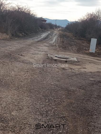 Teren Intravilan 533 mp Sanpetru - 7