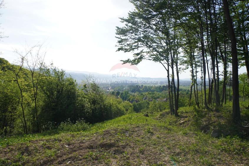 Teren 15,000mp Sighetu Marmatiei / Strada Mocanitei - 9