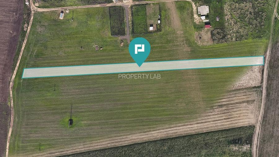 Teren parcelat, 5800 mp, Chișoda - 2