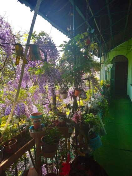 Apartament | 4 Camere | Zona Centrala | Piata Maria - 9