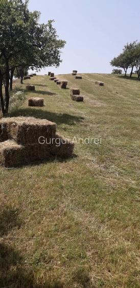 Casa cu teren de vânzare în zona de munte  - 14