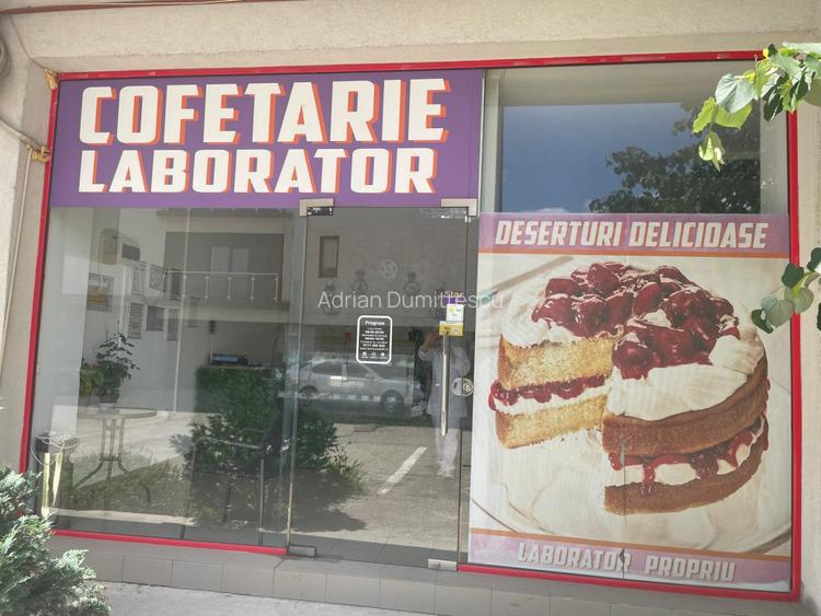 Spatiu comercial - Prelungiera Ghencea nr. 262 - 50 mp - 20