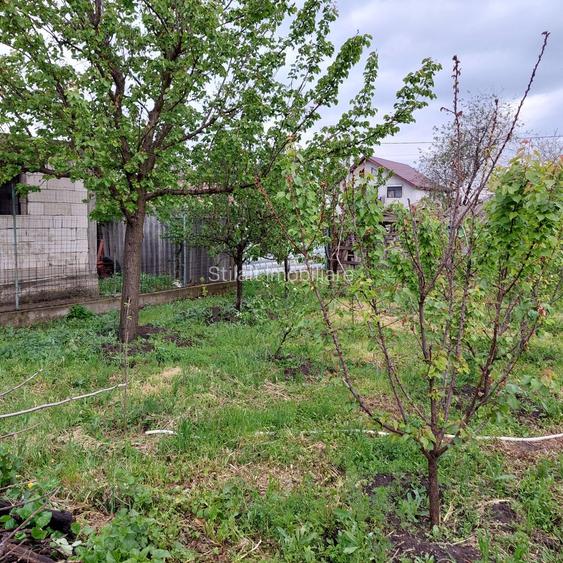 Teren intravilan 1244 mp/ Vama Veche - 2