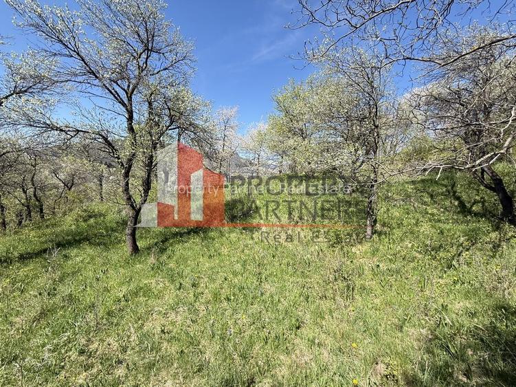 Teren 2500 mp Sohodol - 10