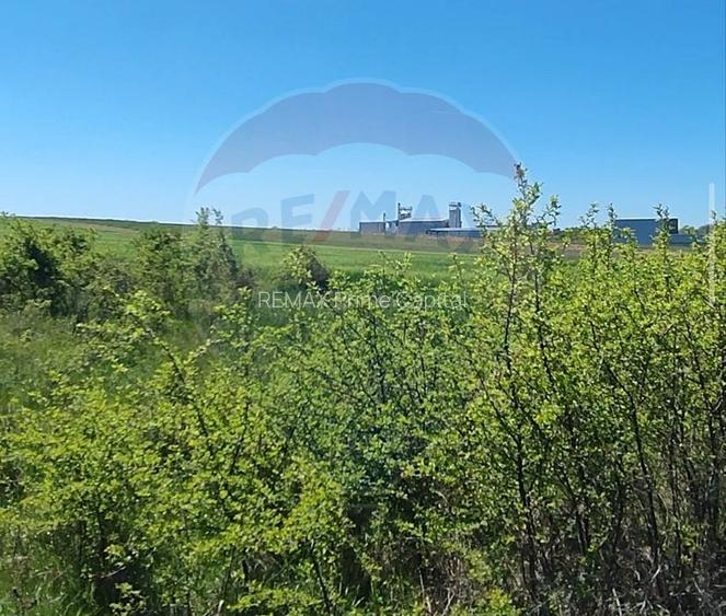 Teren extravilan 11,132 mp, Săcădat, de vânzare - 3