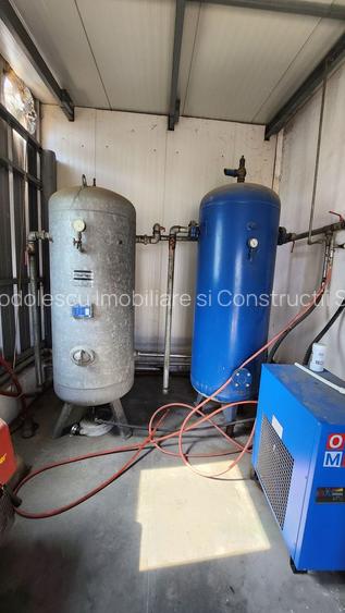 Spatiu industrial productie/ depozitare, Timiș - 20