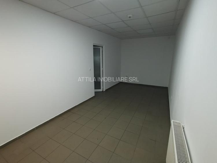 Hala Lugojului 1800 euro+TVA - 10