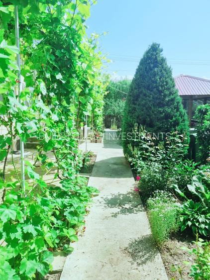 Colt de rai refugiul tău verde în inima naturii - 2