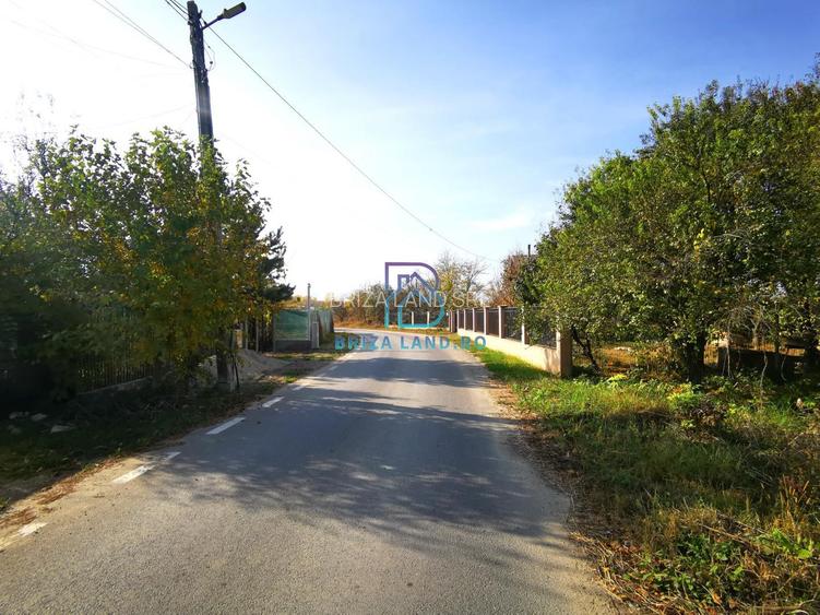 Domnesti, Teghes, teren la padure, str. Argesului, teren 2475mp, d=36.2m - 2