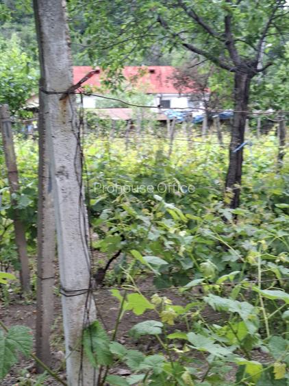 VANZARE CASA VRANCEA TIFESTI SAT CLIPICESTI - 8