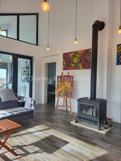 Casa Copenhaga 5 cam parter, panouri, garaj, 1000mp teren, zona Paradisul Verde - 3