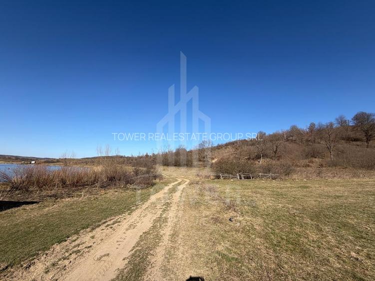 Teren EXTRAVILAN de vânzare în Săcel - 5