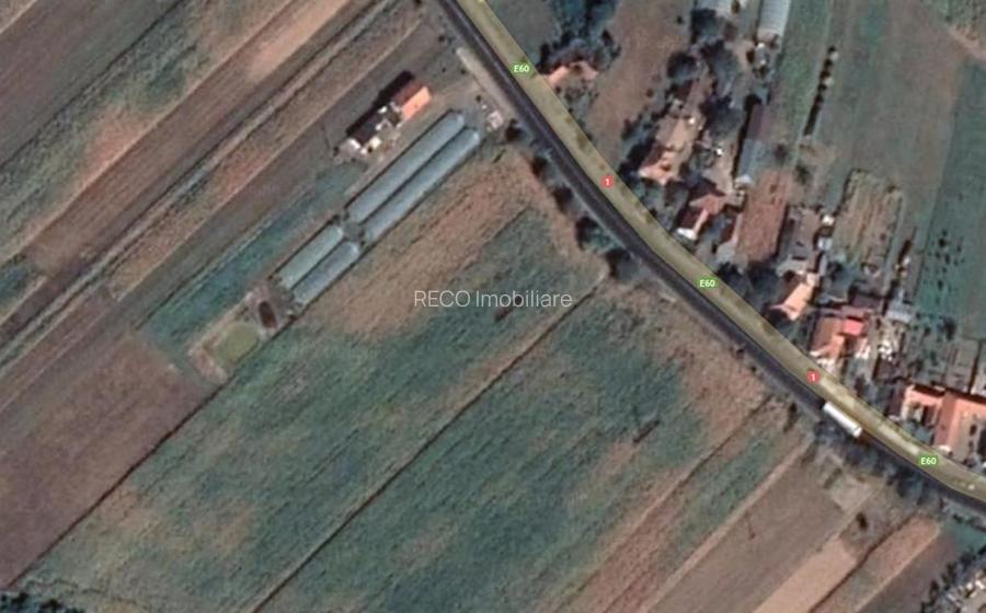 RECO teren intravilan Topa de Cris - 3