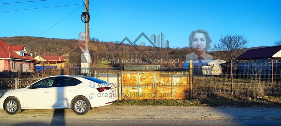 Teren intravilan 3129 mp | Deschidere 28 ml / Lespezi – Homoc - 4