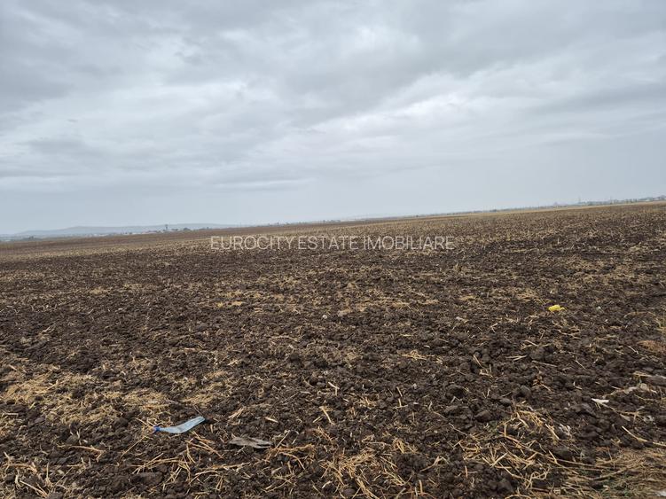 Metro Ploiesti - Paulesti, vanzare teren 39.144mp. - 15